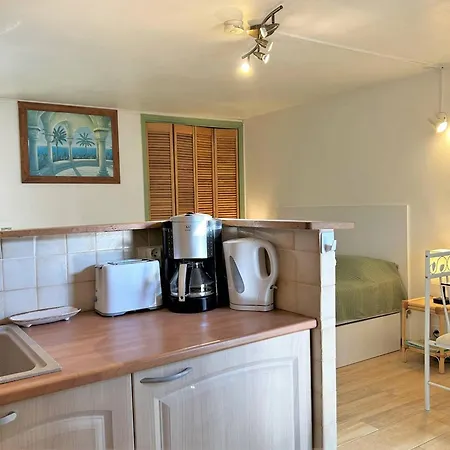 Apartment Renove Avec Terrasse Et Jardin, Proche Commerces, Parking Prive - - Fr-1-251-583 Bormes-les-Mimosas