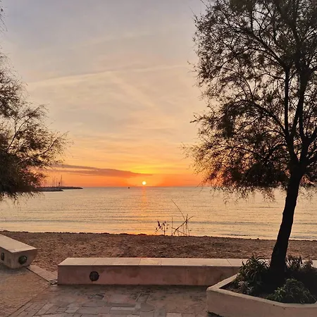 Renove Avec Terrasse Et Jardin, Proche Commerces, Parking Prive - - Fr-1-251-583 * بورم لي ميموزا